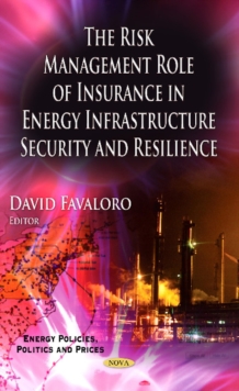Image for Risk Management Role of Insurance in Energy Infrastructure Security & Resilience