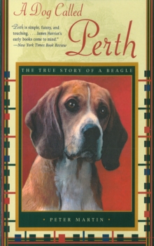 Image for Dog Called Perth: The True Story of a Beagle