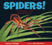Image for Spiders!
