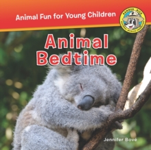 Image for Animal Bedtime
