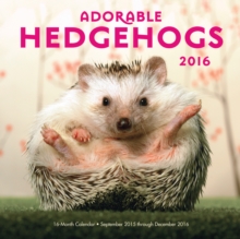 Adorable Hedgehogs 2016