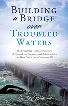 Image for Building a Bridge over Troubled Waters