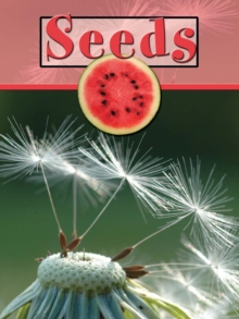 Image for Seeds