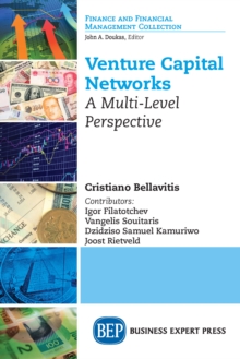 Image for Venture Capital Networks: A Multi-Level Perspective