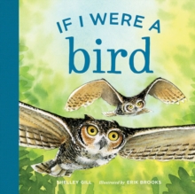 Image for If I were a Bird