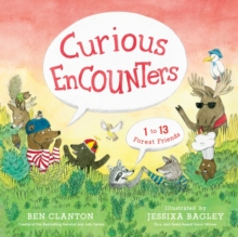 Image for Curious Encounters