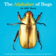 Image for The alphabet of bugs: an ABC book