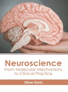 Image for Neuroscience: From Molecular Mechanisms to Clinical Practice