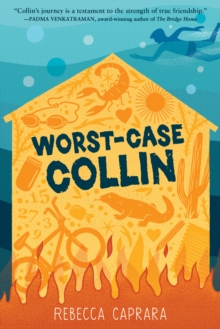 Image for Worst-case Collin