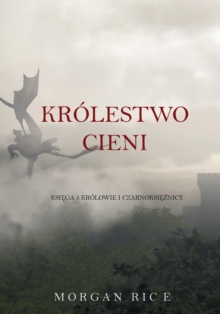 Image for Krolestwo Cieni (Ksiega 5 Krolowie I Czarnoksieznicy)