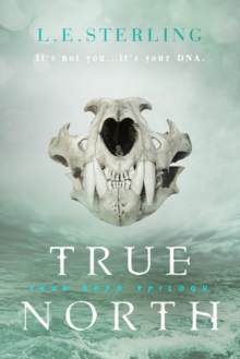 Image for True north