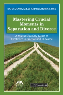 Image for Mastering crucial moments in separation and divorce: a multidisciplinary guide to excellence in practice and outcome
