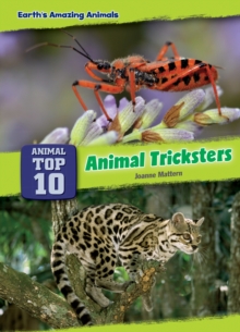 Image for Animal Tricksters