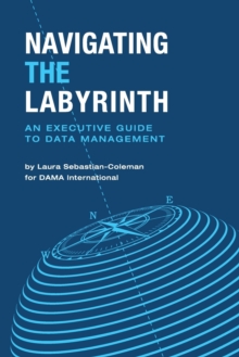 Image for Navigating the labyrinth  : an executive guide to data management