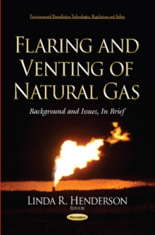 Image for Flaring & Venting of Natural Gas