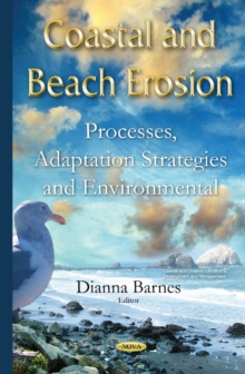 Image for Coastal & Beach Erosion