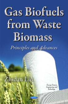 Image for Gas Biofuels from Waste Biomass