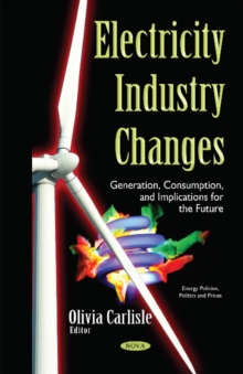 Image for Electricity Industry Changes