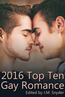 Image for 2016 Top Ten Gay Romance