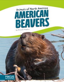 Image for Animals of North America: American Beavers