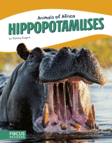 Image for Hippopotamuses