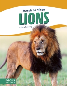 Animals of Africa: Lions