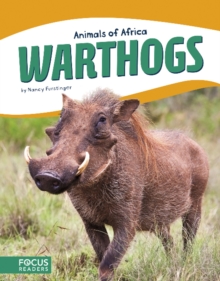 Image for Warthogs