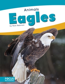 Animals: Eagles
