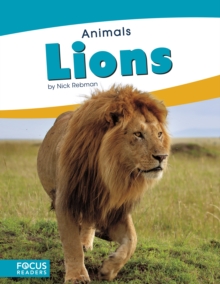 Animals: Lions