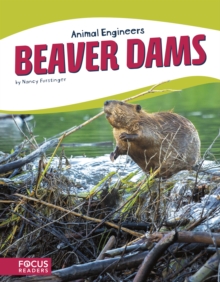 Image for Beaver dams