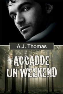 Image for Accadde un weekend