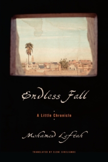 Image for Endless Fall : A Little Chronicle