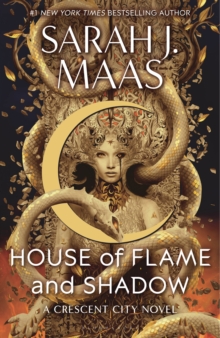 Image for House of Flame and Shadow
