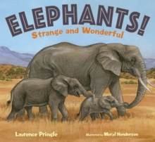 Image for Elephants!