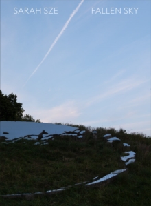 Image for Sarah Sze: Fallen Sky