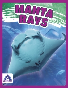 Image for Manta rays