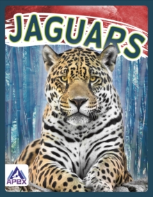 Image for Wild Cats: Jaguars
