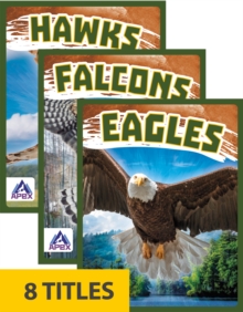 Birds of Prey (Set of 8)