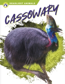 Deadliest Animals: Cassowary