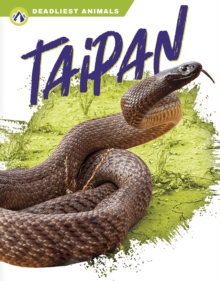 Deadliest Animals: Taipan