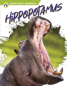 Deadliest Animals: Hippopotamus