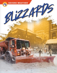 Image for Severe Weather: Blizzards