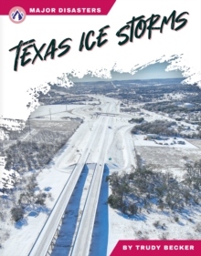 Image for Texas ice storms