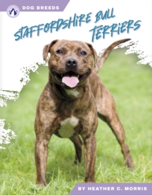 Image for Staffordshire Bull Terriers