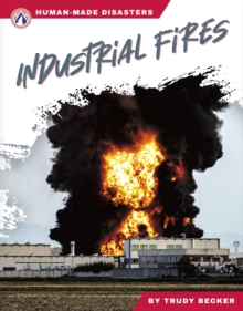 Image for Human-Made Disasters: Industrial Fires