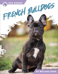 Image for Dog Breeds: French Bulldogs