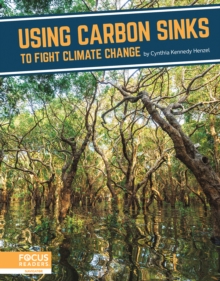 Image for Using carbon sinks to fight climate change