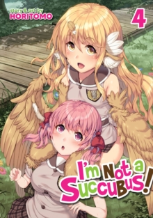 Image for I'm Not a Succubus! Vol. 4