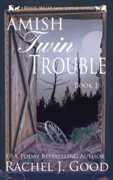 Image for Amish Twin Trouble