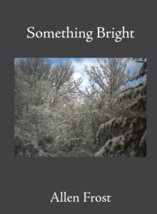 Image for Something Bright